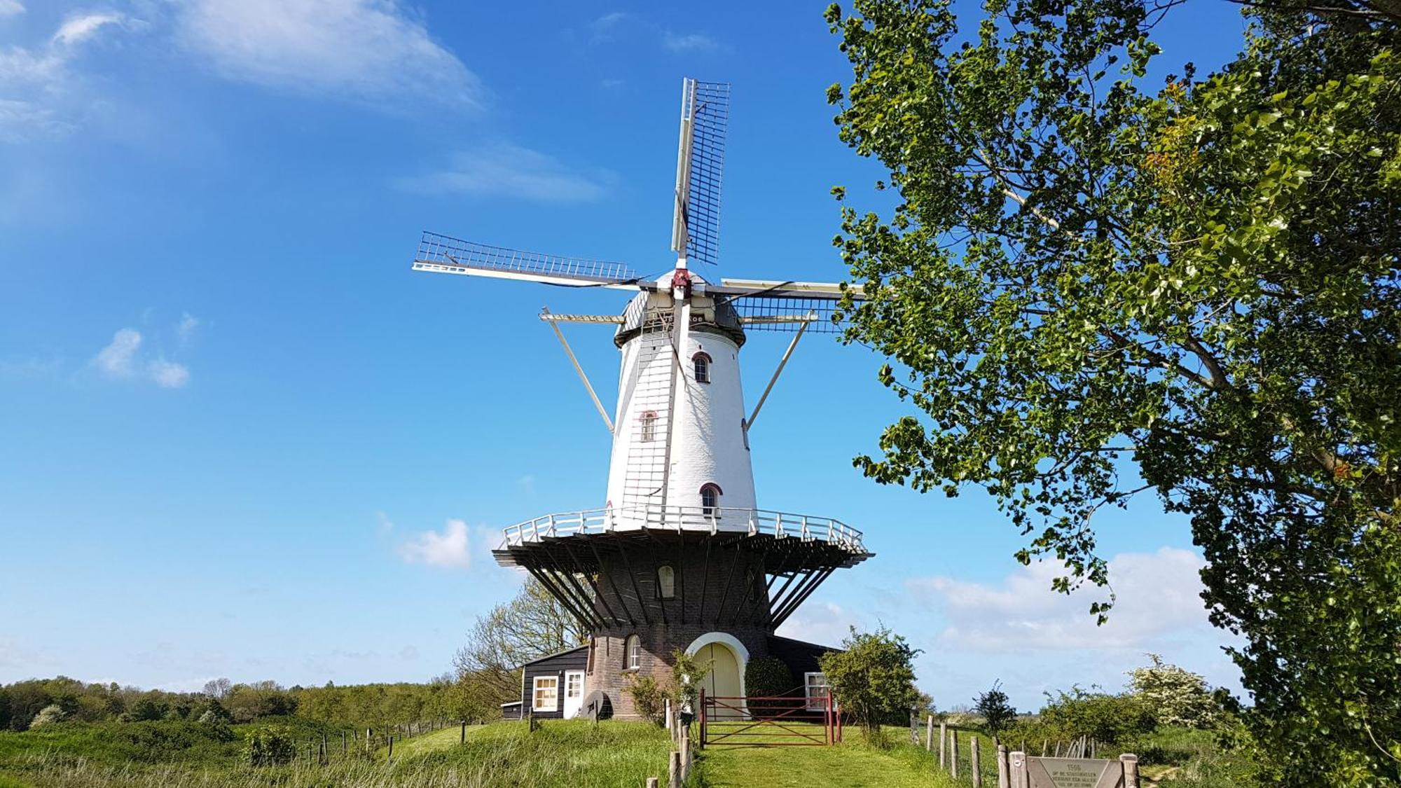 Olmenduin Chalet Veere Zeeland スロースケルケ エクステリア 写真