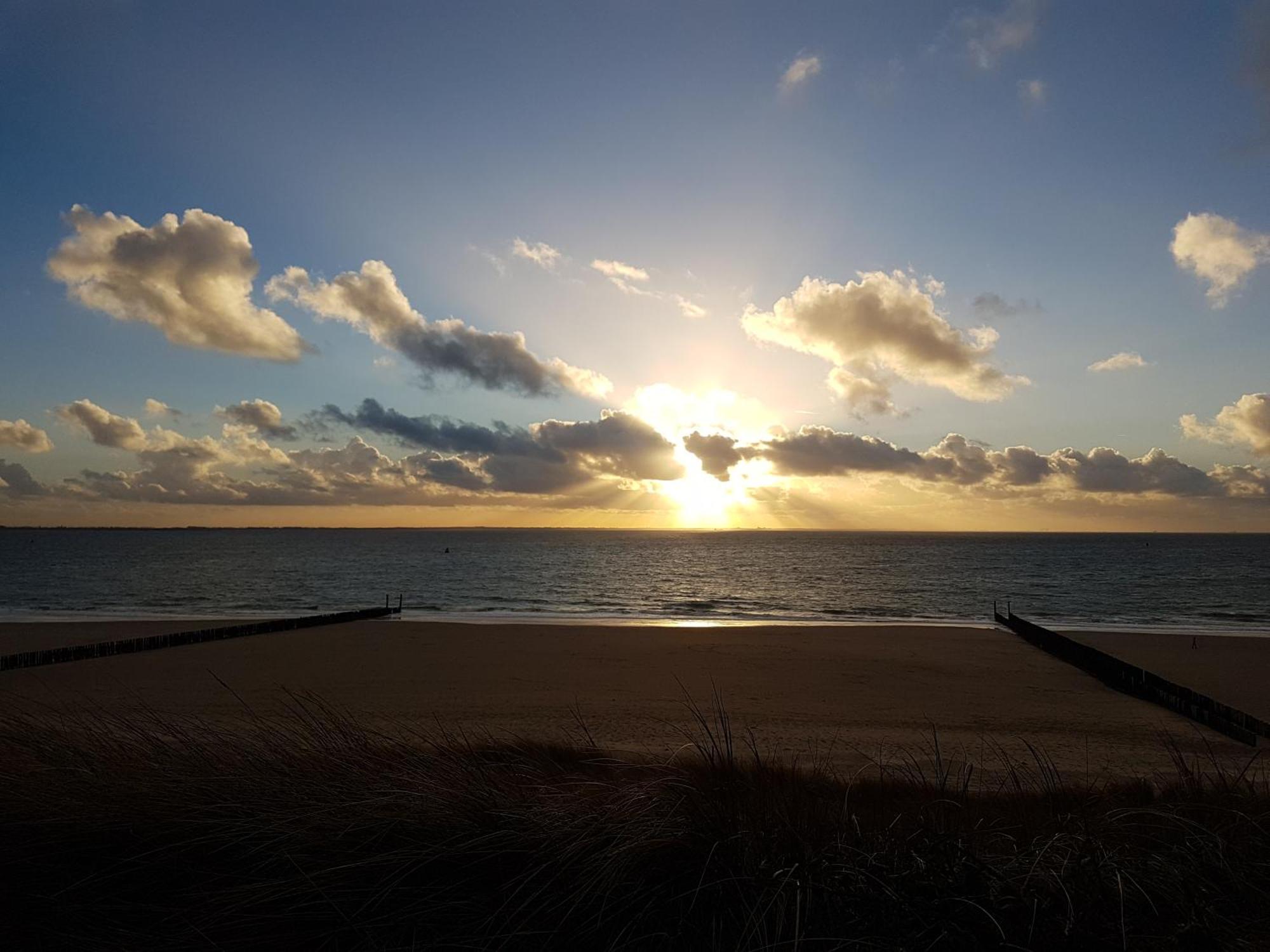 Olmenduin Chalet Veere Zeeland スロースケルケ エクステリア 写真